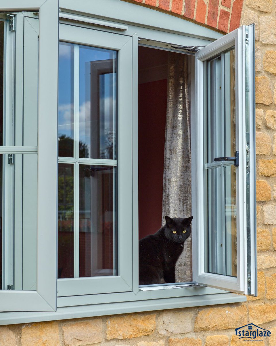 StarglazeHI's tweet photo. Stylish and feline-approved π½
Flush sash windows = timeless charm + the perfect perch πΎ
π 01522 512020 for a free quote!
#CatInWindow #FlushSash #HomeGoals #StarglazeWindows https://t.co/tVBTVgVfdr