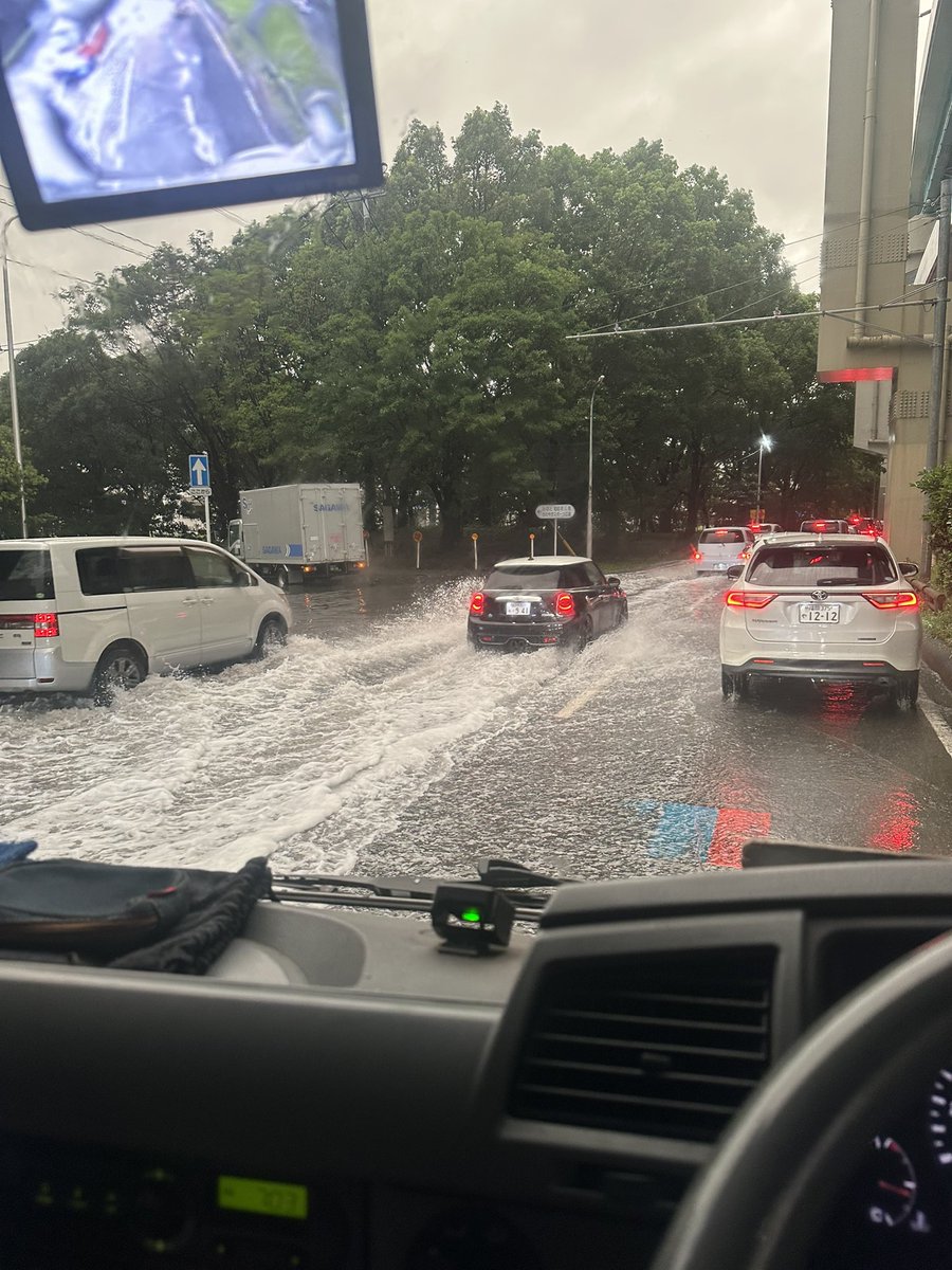 masa0432432's tweet photo. 昨日なんですけど
こんなんでした。
毎日雨でうんざり https://t.co/tVSQceImt9
