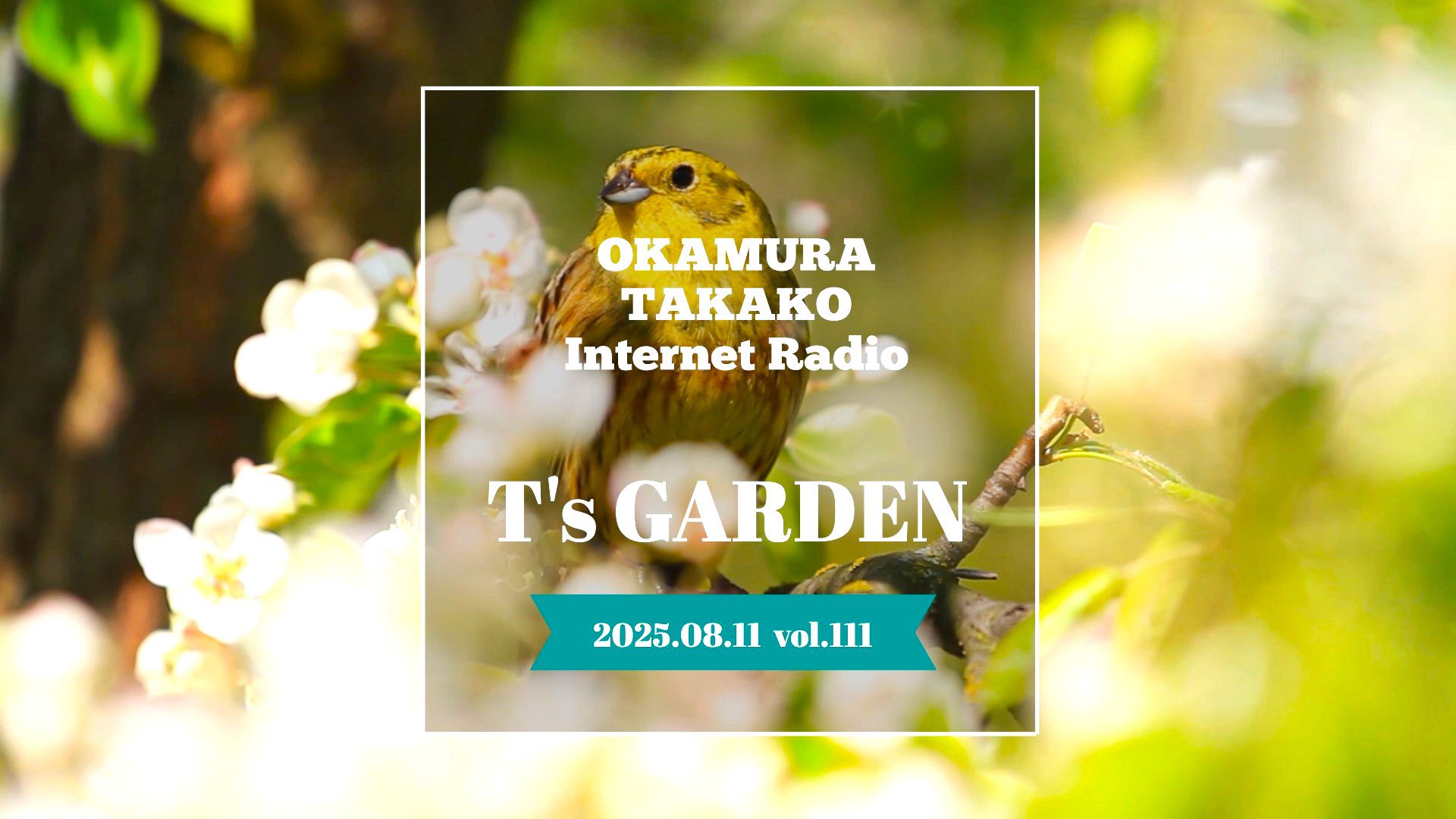 岡村孝子 staff_official on X: 