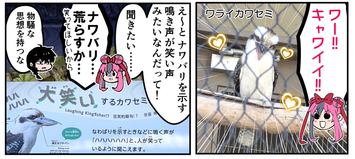 君に笑って欲しいから
今日も私はナワバリを荒らす 