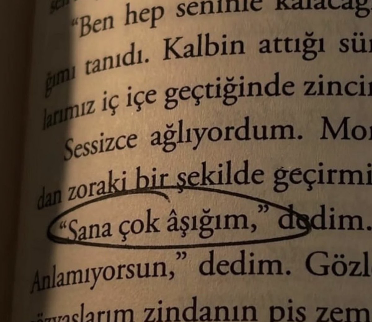 Sana çok aşığım