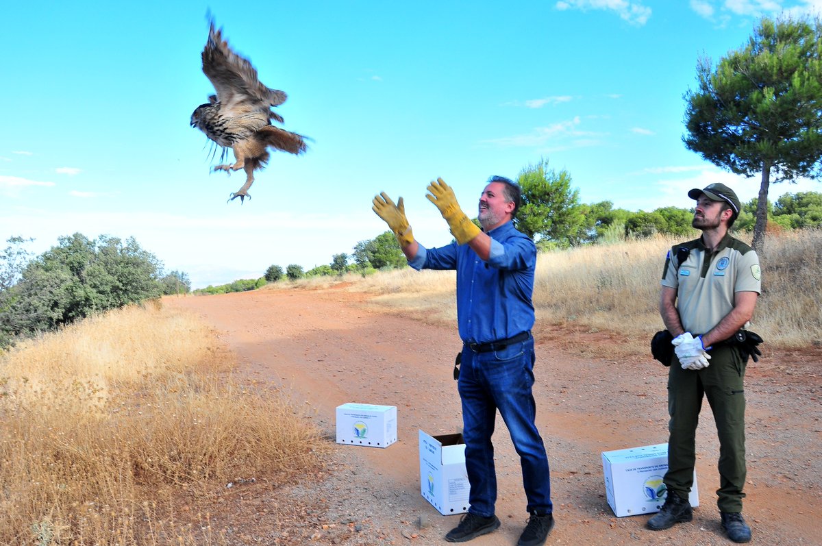 Junta Granada (@juntagranada) on Twitter photo Los Agentes de Medio Ambiente realizan 156 inspecciones a afecciones de fauna silvestre en Granada durante 2024
👉El delegado de <a href="/MedioAmbAND/">Consejería de Sostenibilidad y Medio Ambiente</a> <a href="/ManuelFGranada/">Manuel Francisco</a> asegura que el Equipo de Investigación de Veneno y Artes Ilegales (EIVA) de la Consejería refuerza la vigilancia Los Agentes de Medio Ambiente realizan 156 inspecciones a afecciones de fauna silvestre en Granada durante 2024
👉El delegado de <a href="/MedioAmbAND/">Consejería de Sostenibilidad y Medio Ambiente</a> <a href="/ManuelFGranada/">Manuel Francisco</a> asegura que el Equipo de Investigación de Veneno y Artes Ilegales (EIVA) de la Consejería refuerza la vigilancia
