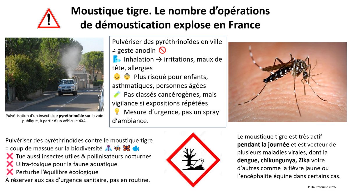 🇫🇷 Patrick Hautefeuille tweet media