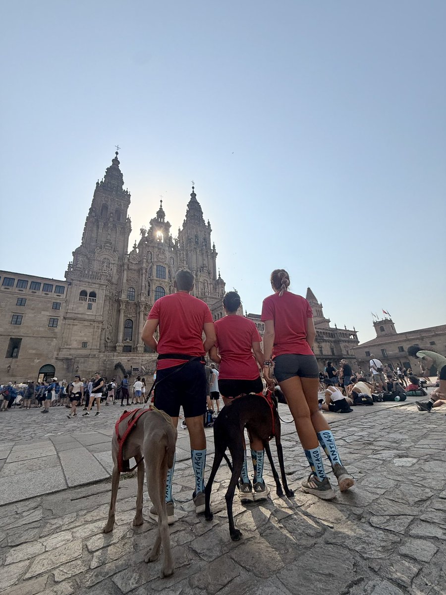 Marta Giménez Ramos tweet media