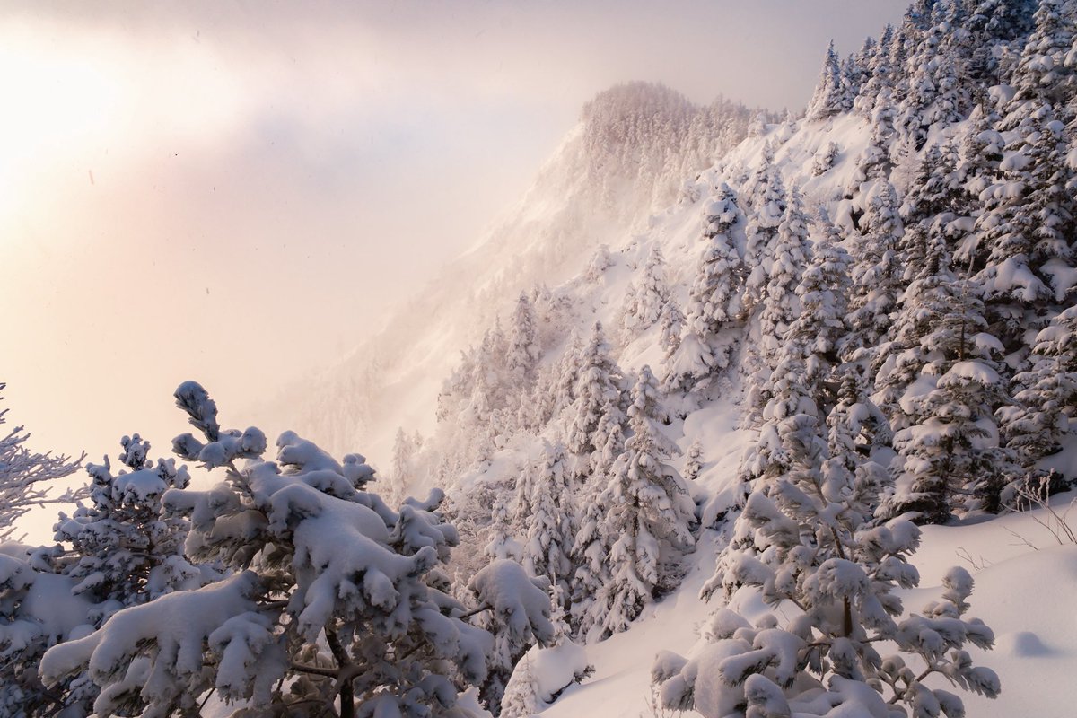 山の日⛰️
アルプスよりも印象に残ってる選
1.くじゅう連山
2.剣山
3.栗駒山
4.黒斑山