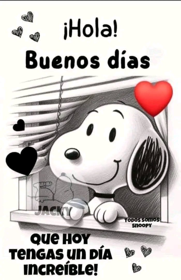 🇦🇷♥ Marcela ⭐⭐⭐ tweet media