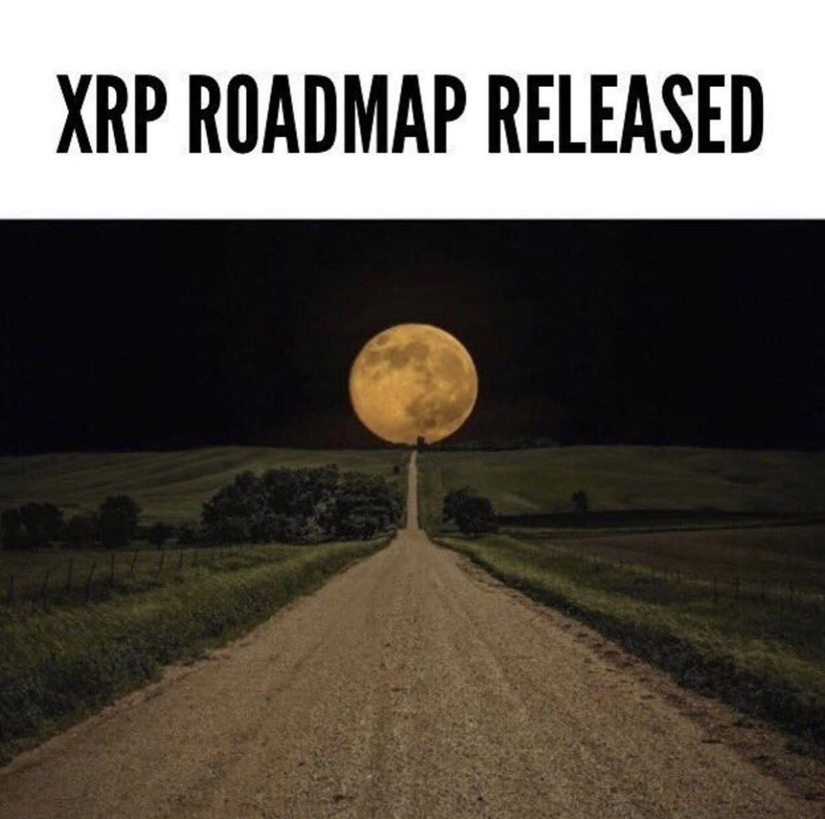Are you ready for $XRP new roadmap? 🌕🚀