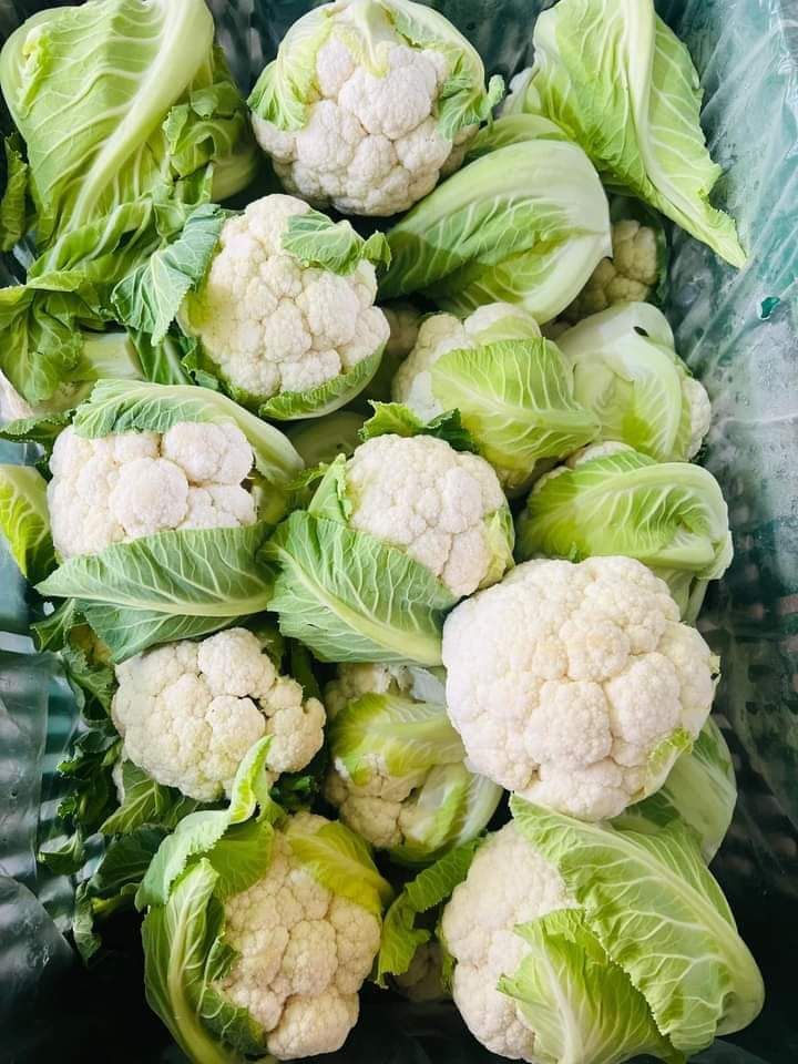 RightCohen's tweet image. Cauliflower delight! 🤍 Perfect for a healthy snack. So fresh and yummy. What's your favorite way to eat cauliflower? 😋
@uwase2002
#CauliflowerObsessed #HealthyChoices
#FreshVeggies
#VeggieSnack
#LetsFarmTogether