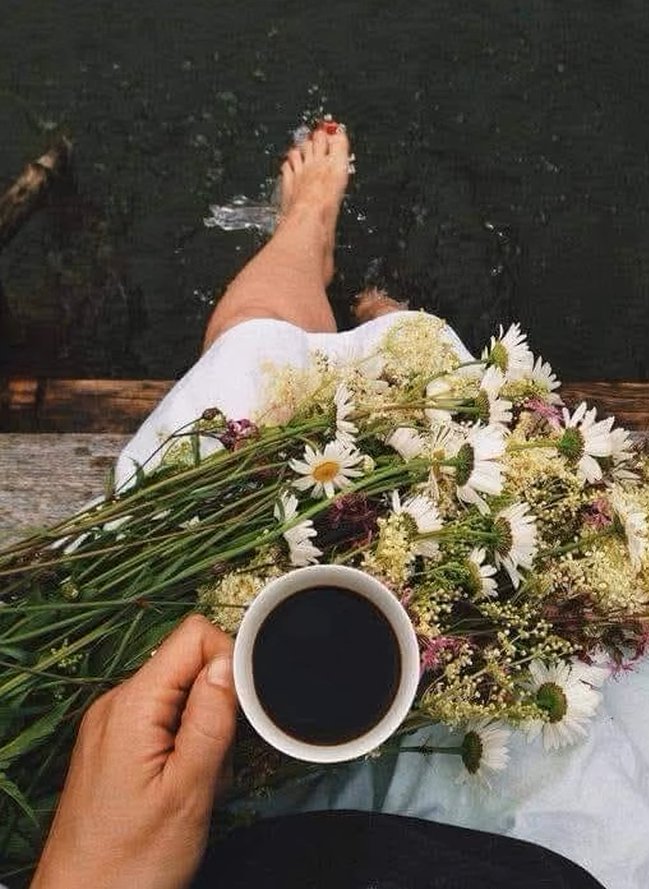 KaiOfApril's tweet image. "Quiero estar donde el ruido suena más fuerte que la nostalgia,
decir adiós a muchas cosas
para que tu ausencia pase inadvertida.

Quiero que todo huela a ti
para que tu perfume no sea tuyo sino de todo y al fin
deje de doler."

-Sara Búho.