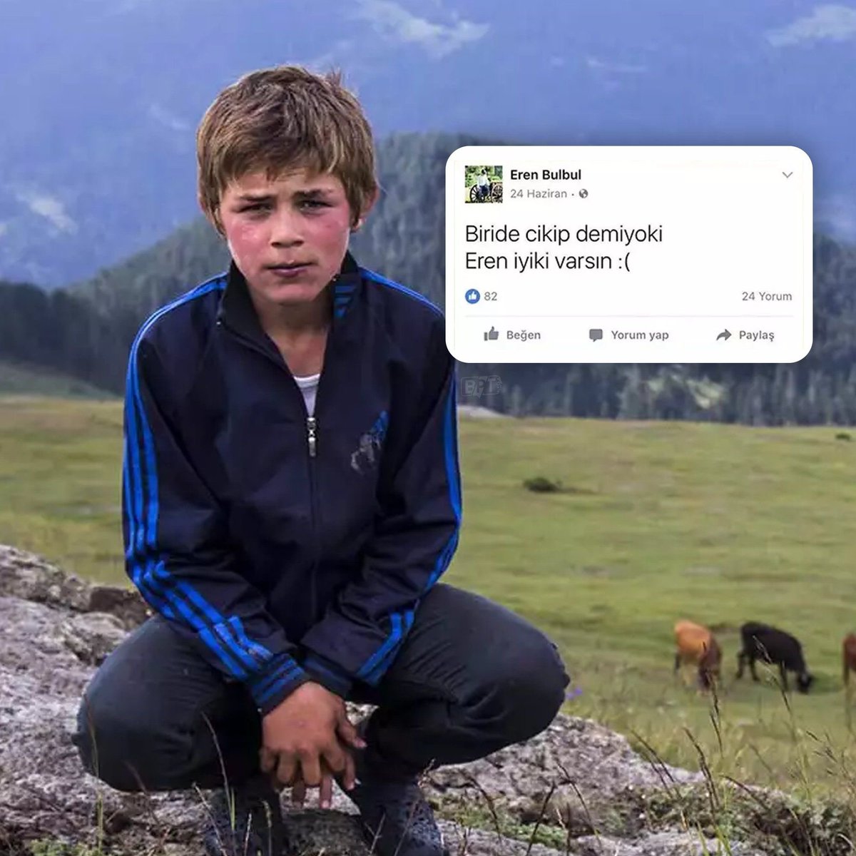 İyi ki varsın Eren..

🇹🇷