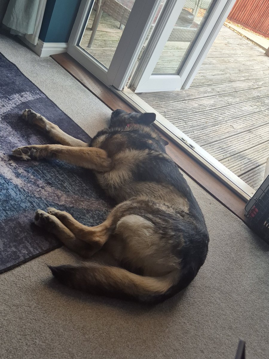 It's warm already. Staying cool by the door. Nice breeze coming in 🌞💙🐾💙