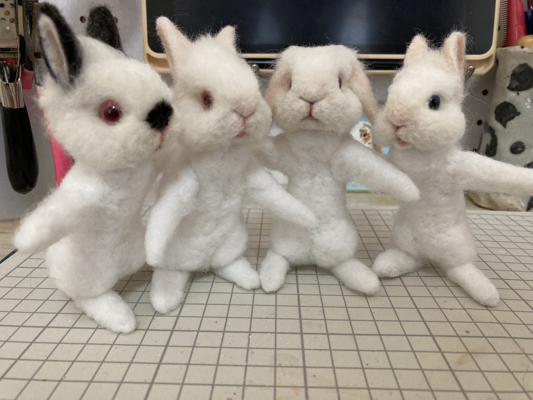 うさぎさん うさぎさんニューリリースティザー映像【#うさぎさん/#ストグラ