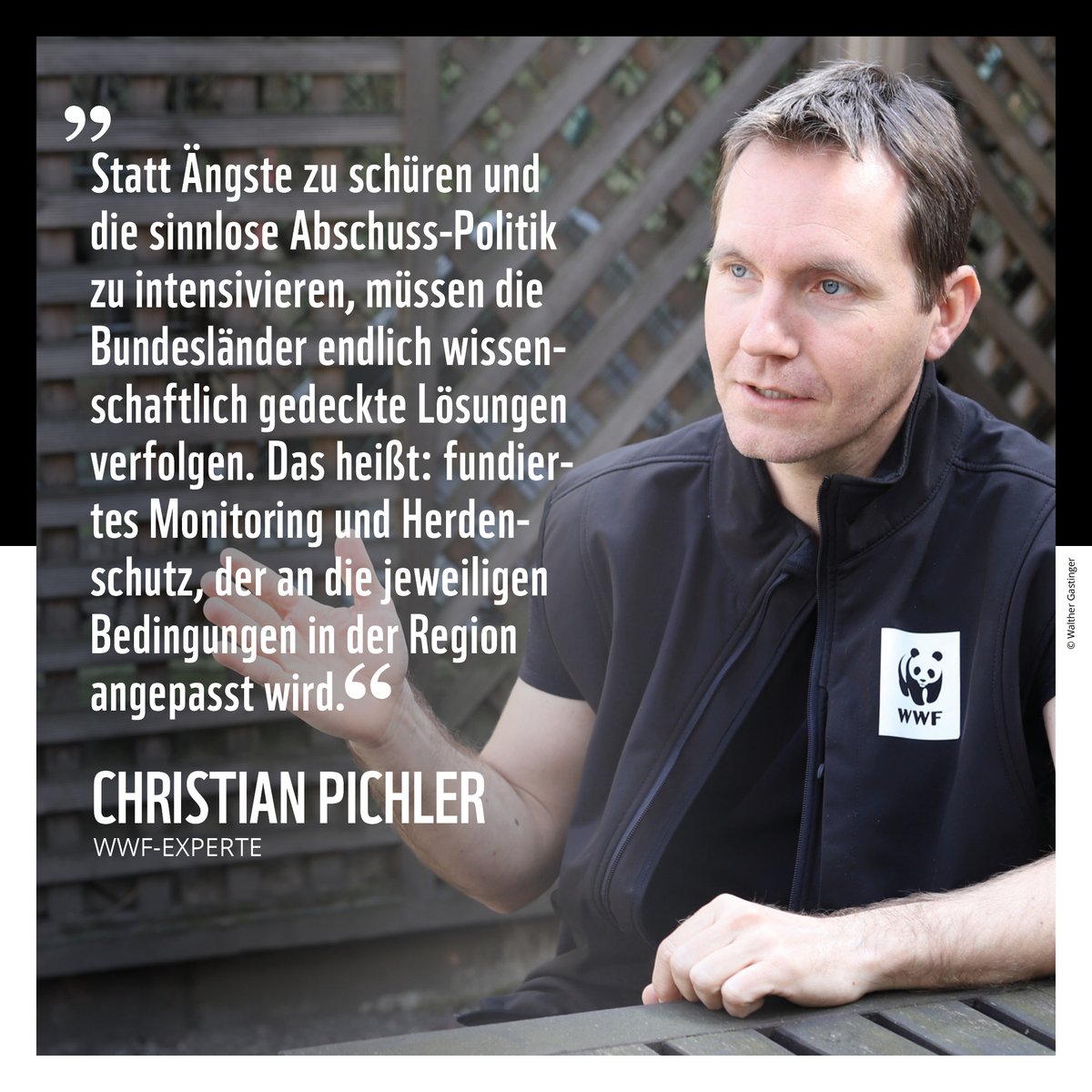 Fast jede Woche liest man von Wolfsabschüssen oder Abschussverordnungen. Es braucht endlich Fakten statt Mythen, denn die Tiere sind ein wichtiger Teil unserer Natur. Ein friedliches Miteinander ist möglich. Mehr lest ihr in unserem neuen Faktencheck: wwf.at/wp-content/upl…