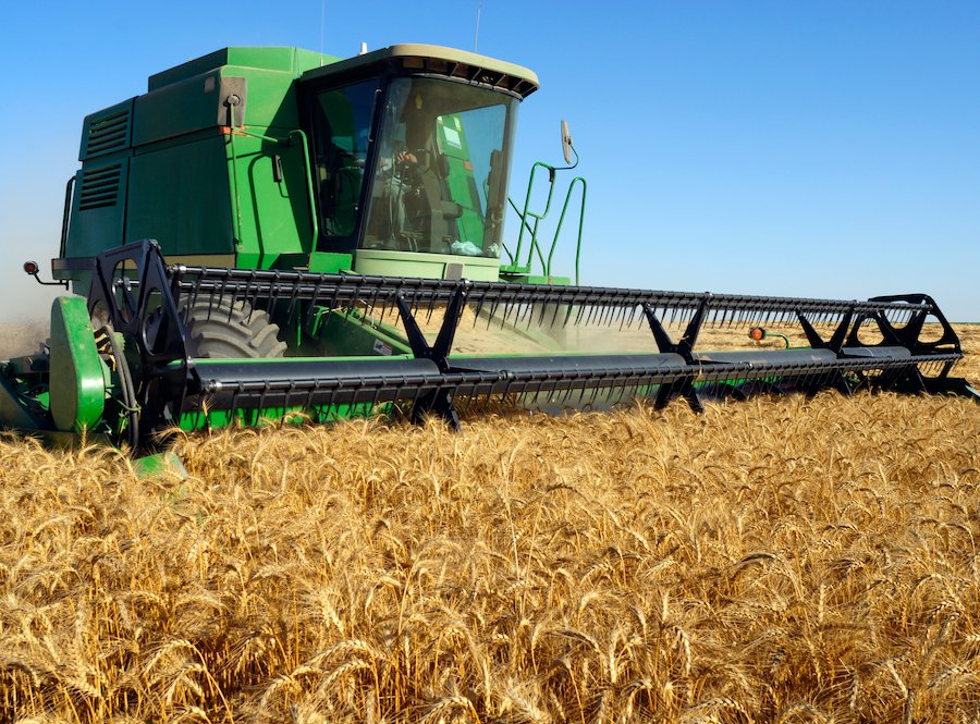 Casi 600 000 agricultores y ganaderos han solicitado las ayudas de la PAC diariodegastronomia.com/casi-600-000-a…