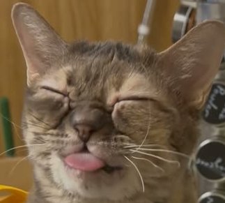 CryptoNecc's tweet image. GM Fam!