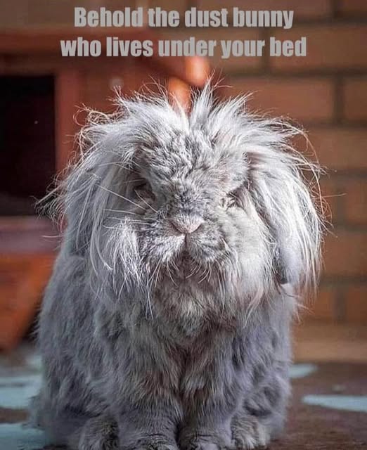 GOOD MORNING AND WELCOME TO A NEW WEEK!!!
Am I the only person who has problems getting under the bed to clean?