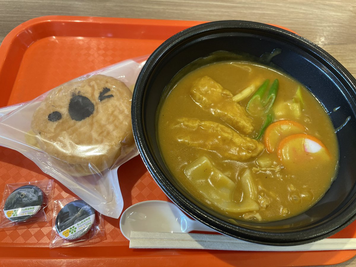 wowALFwow's tweet photo. #動物園　#東山動物園
名古屋の東山動物園に行ってきたよ！
ココはレッサーパンダがアクティブでいいよね！すごく可愛いよ！
オオカミもいたけど、ただの白い犬だね！花咲か爺さんの犬かな？
ゴリラのシャバーニも有名だけど、3匹ゴリラいて、どれだかわかんない！ただ3ゴリラとしか言えないね！ https://t.co/e7MrHPDG0u