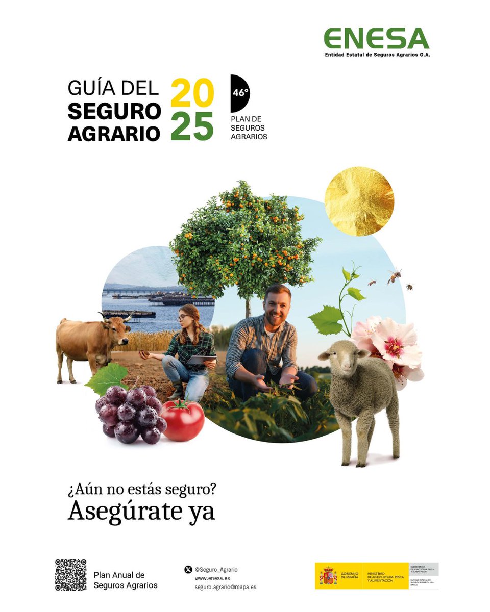 Delegación del Gobierno en Asturias (@delgob_asturias) on Twitter photo El <a href="/gobmapa/">Ministerio de Agricultura, Pesca y Alimentación</a> destina 315 M€ para subvencionar el coste de seguros, pagados directamente en el momento de la suscripción.
Consulta todas las líneas de seguro disponibles o las fechas de contratación.👉mapa.gob.es/es/enesa/plan_… El <a href="/gobmapa/">Ministerio de Agricultura, Pesca y Alimentación</a> destina 315 M€ para subvencionar el coste de seguros, pagados directamente en el momento de la suscripción.
Consulta todas las líneas de seguro disponibles o las fechas de contratación.👉mapa.gob.es/es/enesa/plan_…