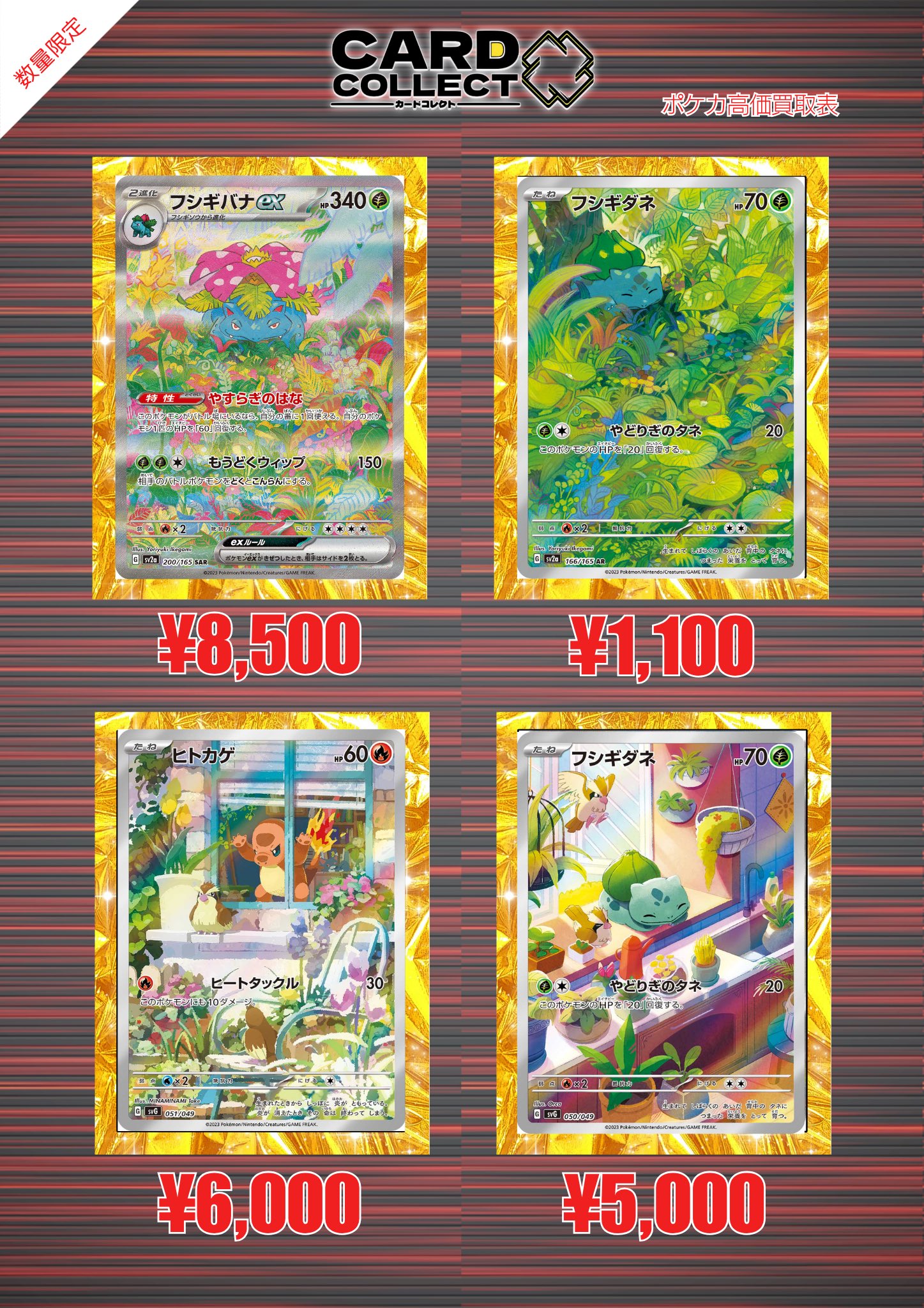 カードコレクト秋葉原@ポケモンカード PSA 買取 旧裏 Pokemon