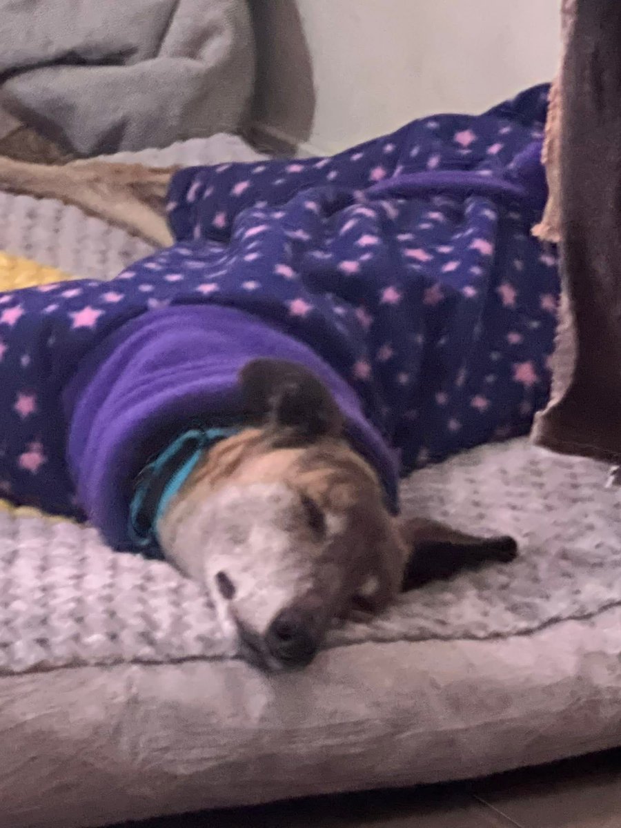 Looks like Fern has settled into retirement.
