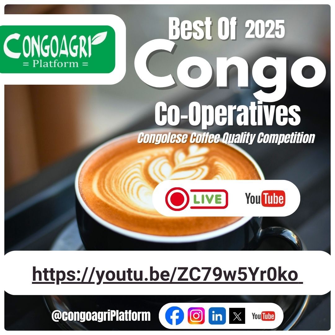 Congoagri1's tweet photo. Suivez le live de la conférence et qualité du Café Congolais #BestOfCongoCooperatives2025
👇 👇 
https://t.co/YYv1OTBvYP https://t.co/k6eTx0aGdo