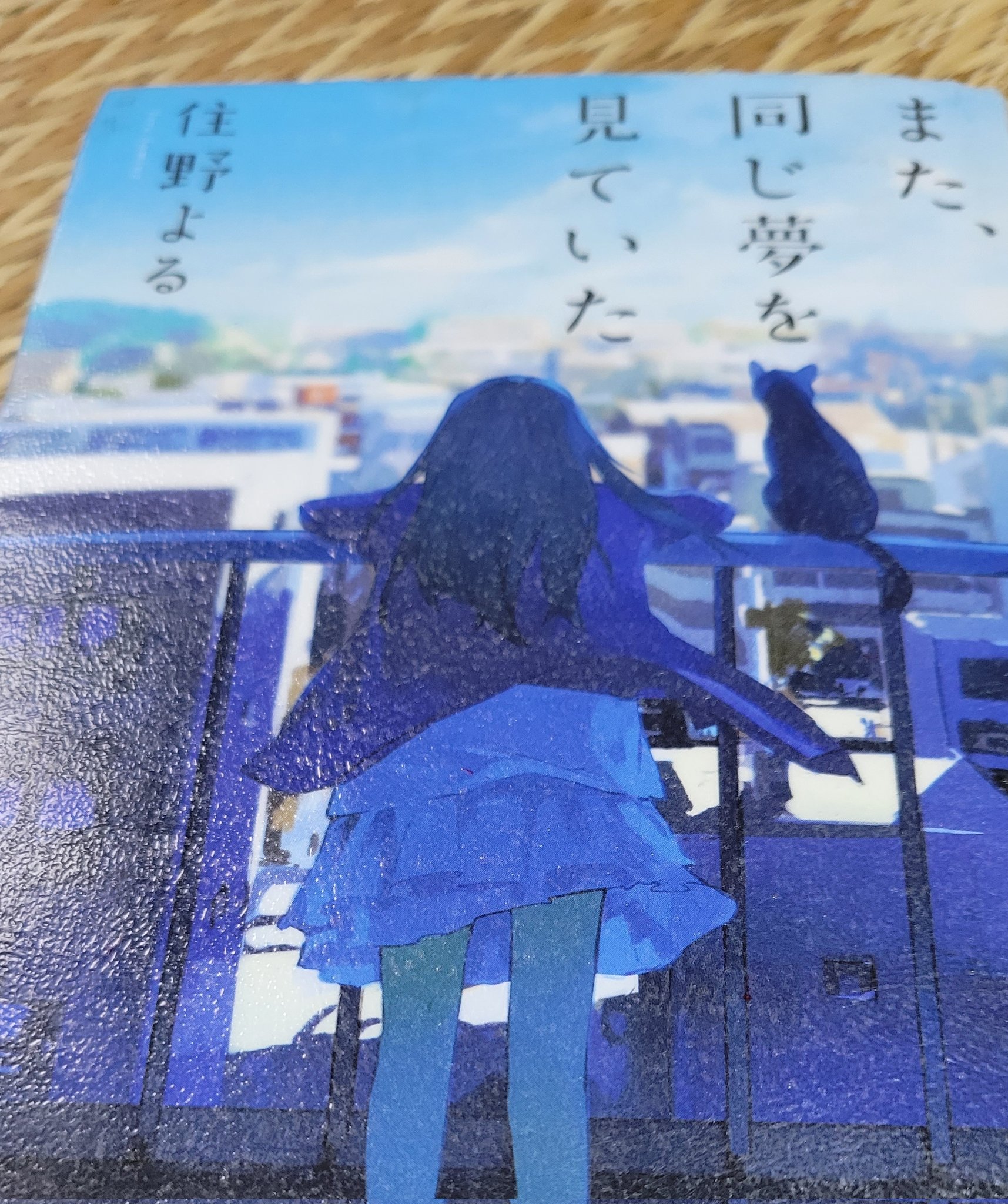 【値下げ可能】住野よる 小説 住野よるデビュー10周年記念公式サイト | 双葉社
