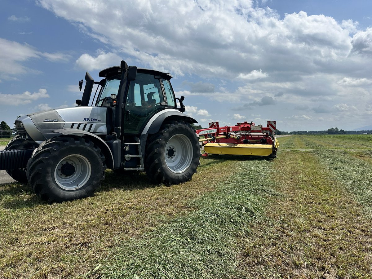 モッチーinc. (@naoya58mochida) / Posts / X