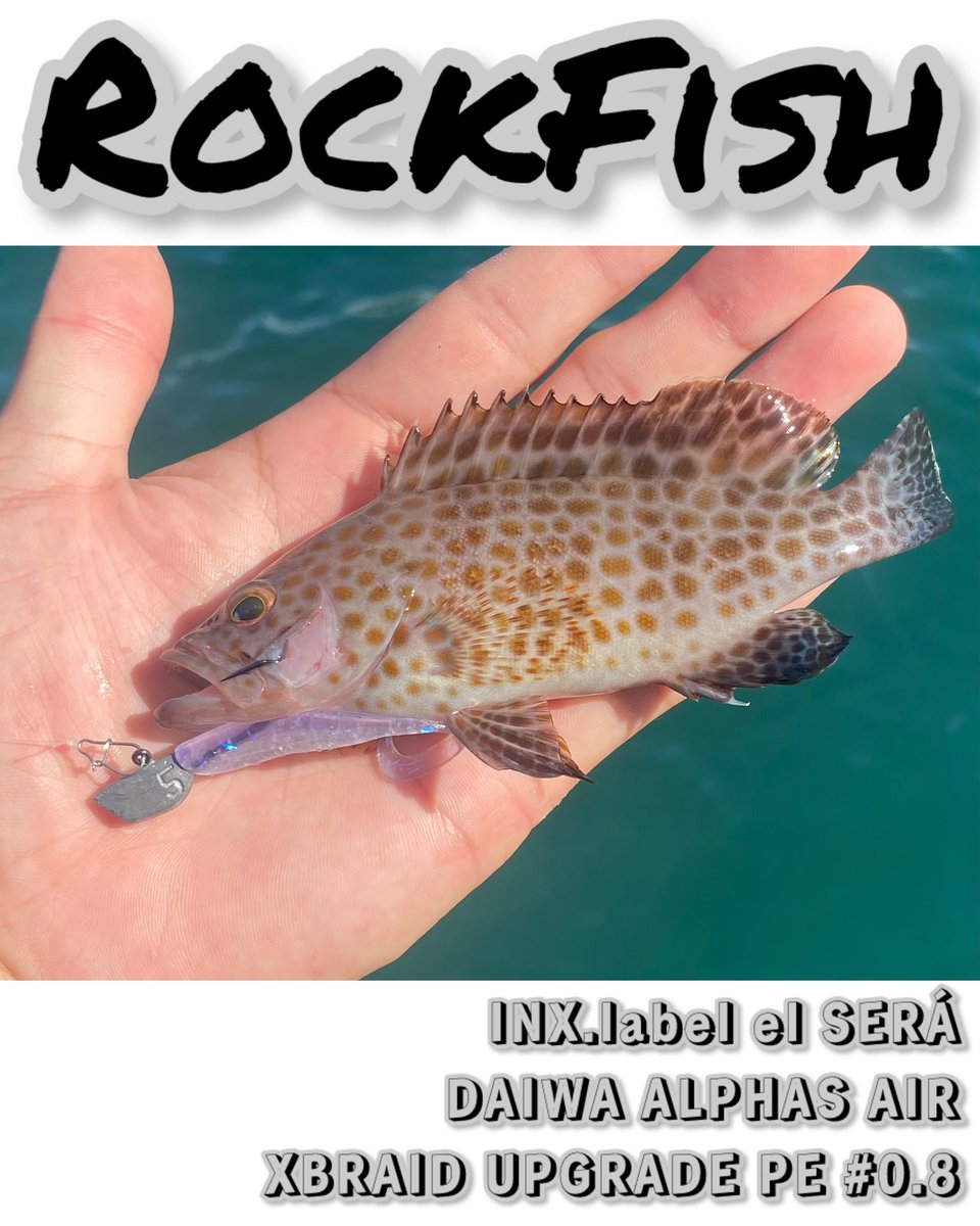 ラスト1セット】各メーカー×1091×BISONトリプルコラボ