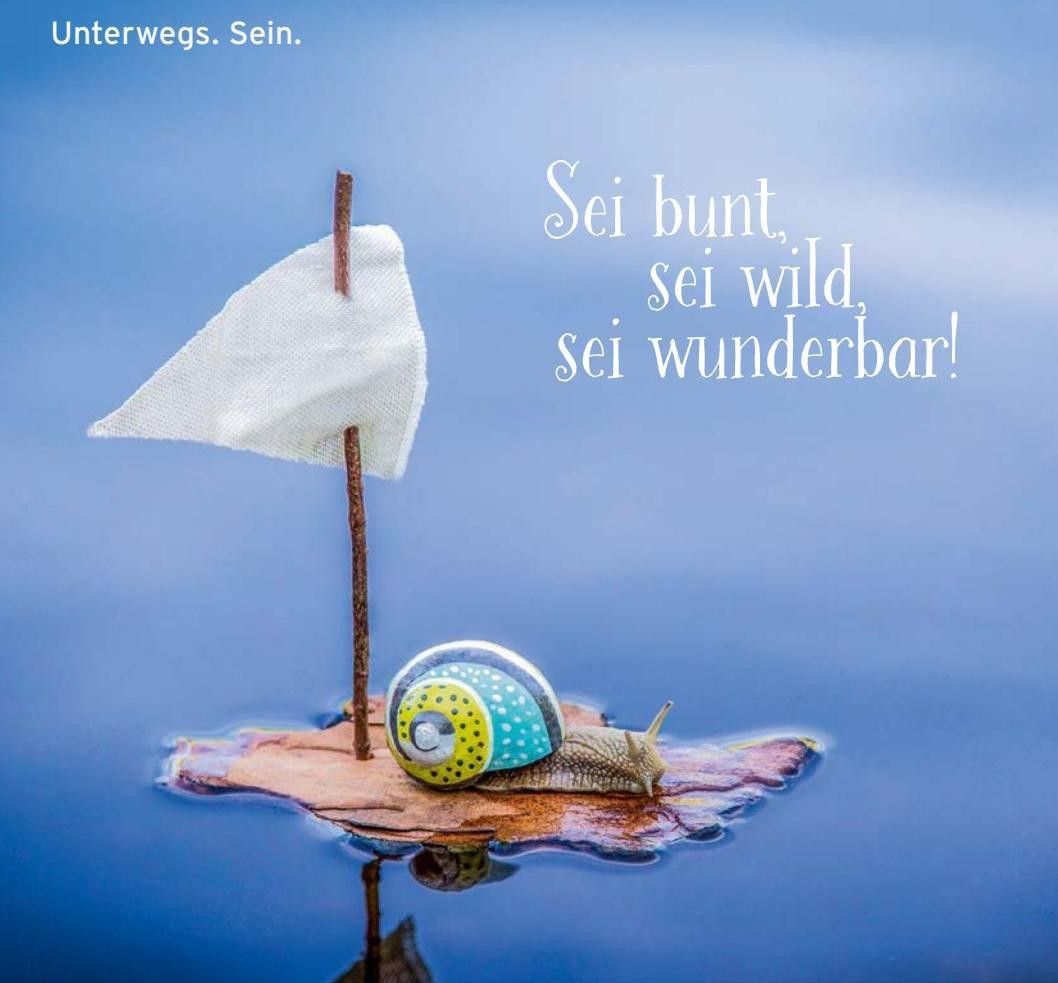 DoroPieper's tweet photo. meine Lieben,
„Jeder Tag ist ein kleines Leben.“ – Schopenhauer
darum
Sei bunt - sei wild - sei wunderbar
😃das sind tolle Aussichten meine Lieben 😃
#lebensenergie #freudeamleben #spasshaben #sommerzeit #segeln #reiselust https://t.co/RzONvb9czI