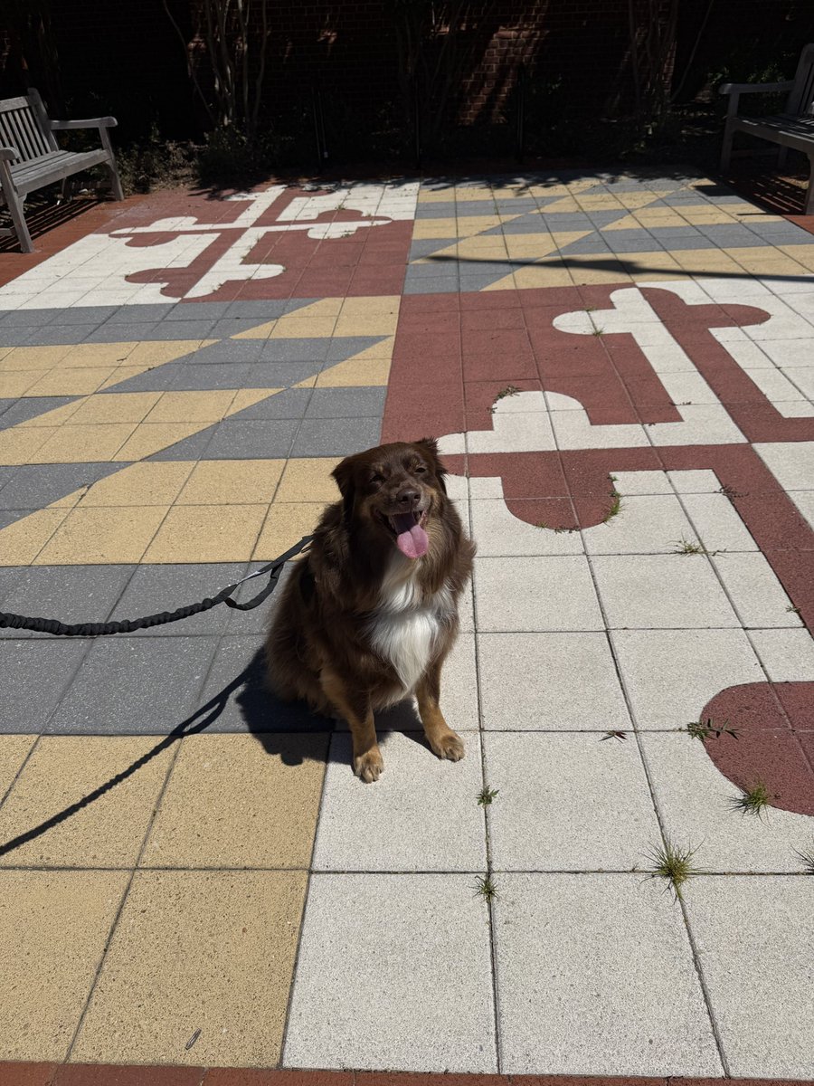 jacquelyn tweet media