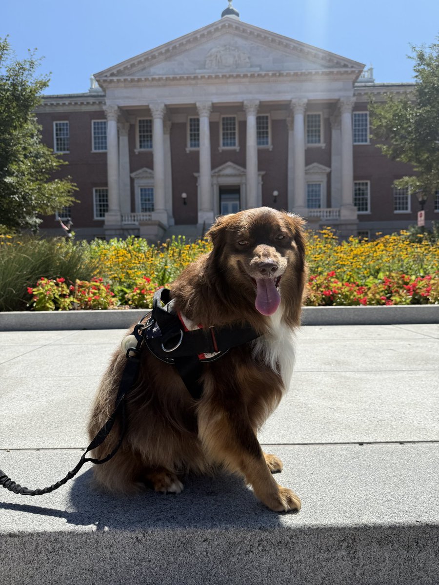 jacquelyn tweet media