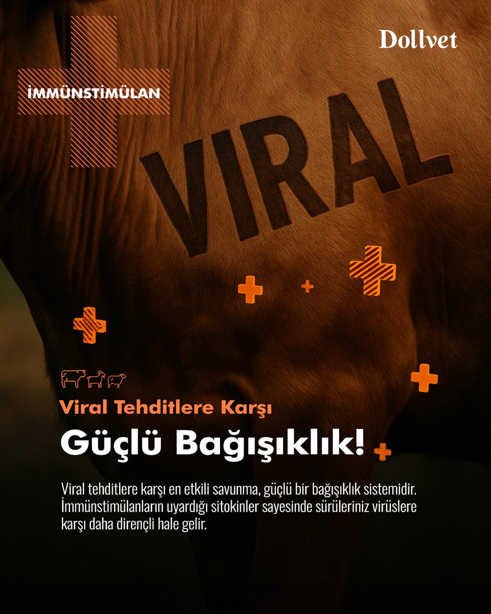 Viral hastalıklar antibiyotiklerle tedavi edilemez. Viral tehditlere karşı en etkili savunma, güçlü bir bağışıklık sistemidir.

İmmünstimülanların uyardığı sitokinler sayesinde sürüleriniz virüslere karşı daha dirençli hale gelir.

#İmmünstimülan #Bağışıklık #KorumayaDeğer
