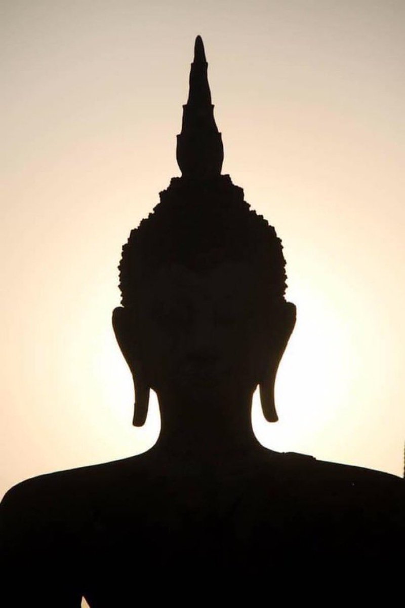 “Positive thoughts generate positive feelings and attract positive life experiences.”