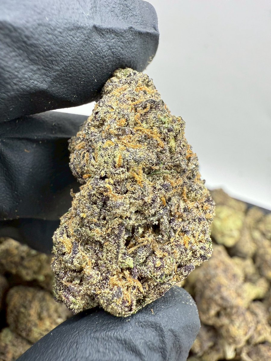 ClubWeedd's tweet photo. Ghost Train Top
G45฿
Sativa 80/20
30G 1350฿
50G 2250฿
100G 3950฿
สอบถามสินค้า https://t.co/8AraW5TaYV
#กัญชากรุงเทพ #กัญชากทม #กัญชาโอจี #กัญชานอก #กัญชาโคราช #กัญชาเชียงใหม่ #กัญชาภูเก็ต #กัญชาพัทยา #ลีน #ลีนนอก #กัญชารังสิต #กัญชาog https://t.co/t9x3Yx1gYo