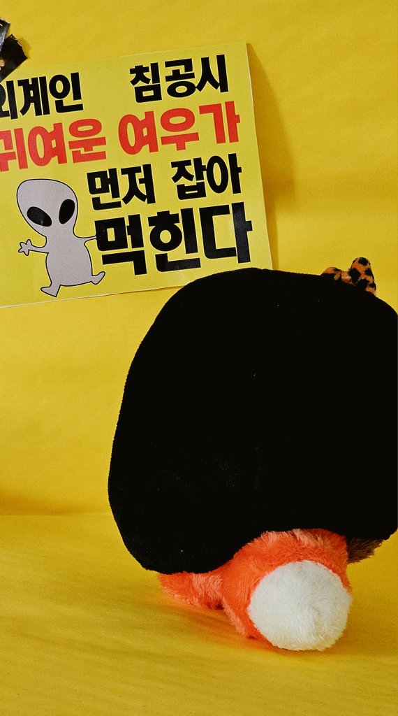 junho_doll's tweet photo. 🦊?🐧? https://t.co/RzINcoBQs1