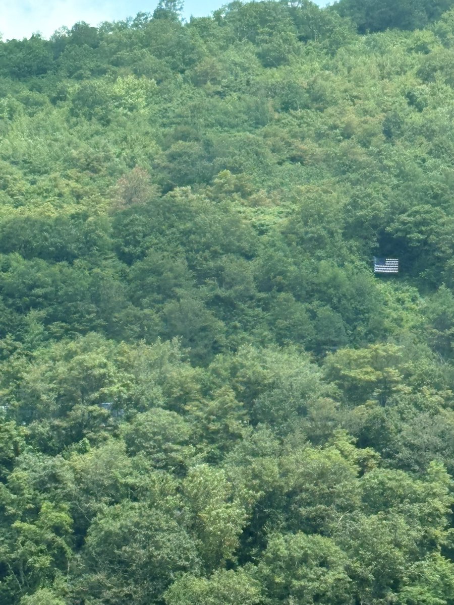 My neck of the woods🇺🇸here’s to a Blessed Day!