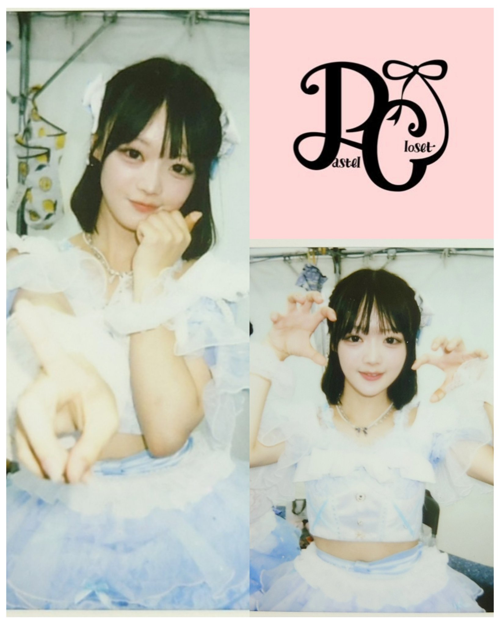 ポンちゃん🍀 on X: 
