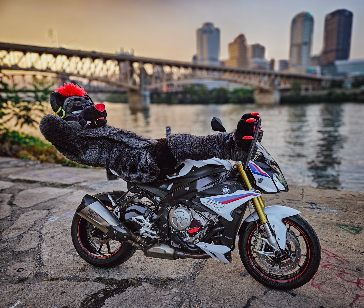 Enjoying the view? 😇

📷 - <a href="/StormtheSerg/">Storm</a> 

#fursuit #furry #FursuitEverday