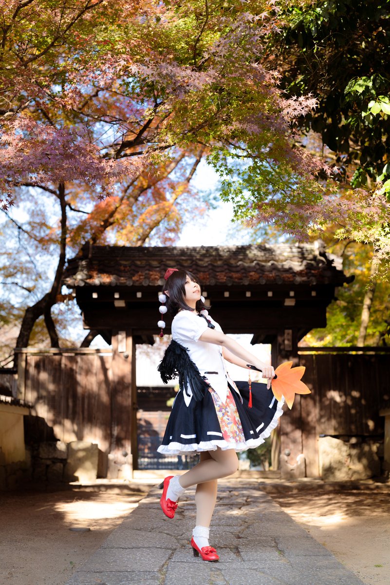 桜りせ tweet media