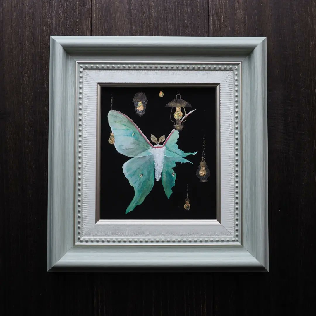 【03】オオミズアオ、オナガミズアオセット 03】オオミズアオ、オナガミズアオセット 03】オオミズアオ