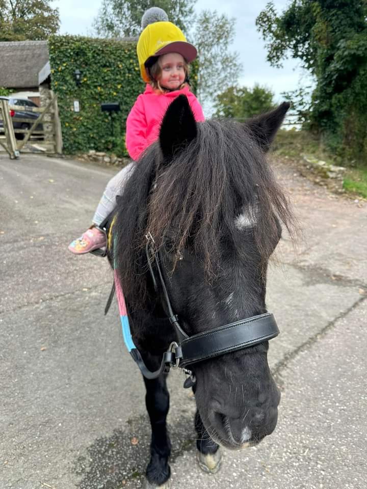 <a href="/horseandhoof/">Horse and Hoof</a> Perfect for my great niece Bea <a href="/jollydollie2019/">Margaret GALLAGHER</a>