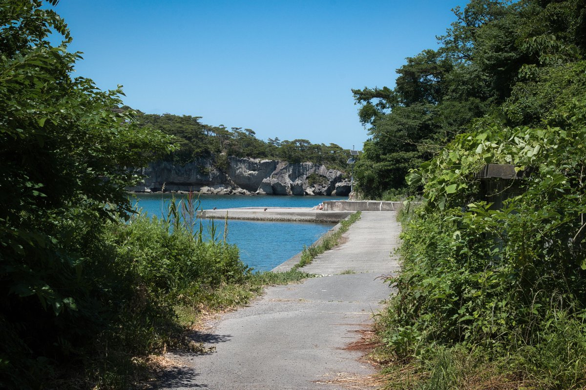 wug0029's tweet photo. 宮城県の小さな島に特攻艇「震洋」の基地跡がある。
粗末な小型ボートに火薬を積んで敵艦に突撃する捨て身の作戦。
薄暗い手掘りのトンネルを抜けると、小さな港に錆びれた2本のレールだけが残されている。
一度も実戦に投入されることなく、その存在を地元住民が知るのは終戦から5年後のことである。 https://t.co/bV38ZyzUWw