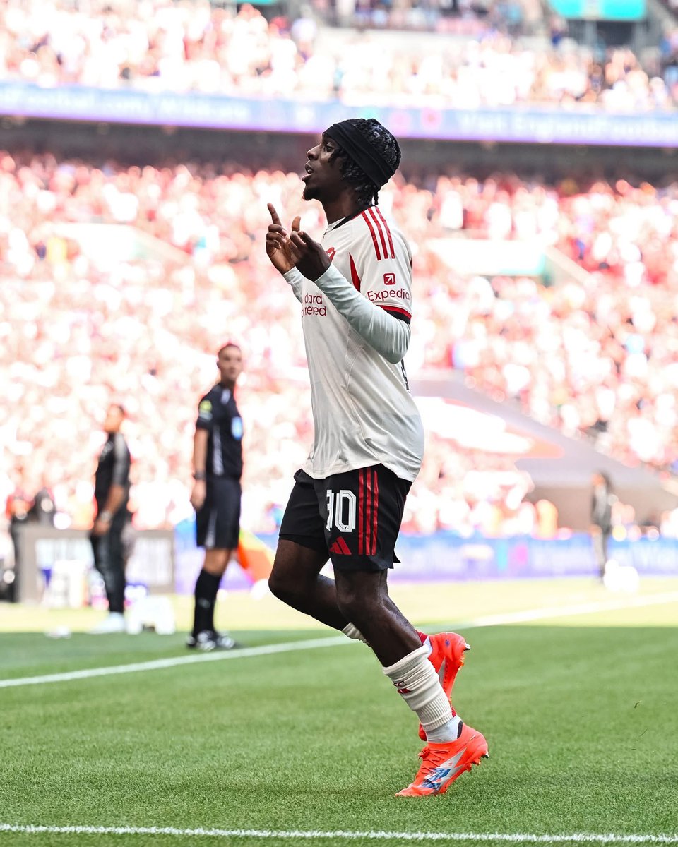 gavin conlan photo tweet media