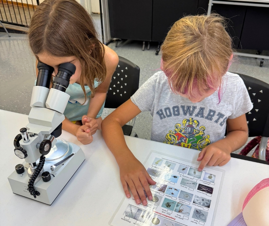 Florida Sea Grant tweet media