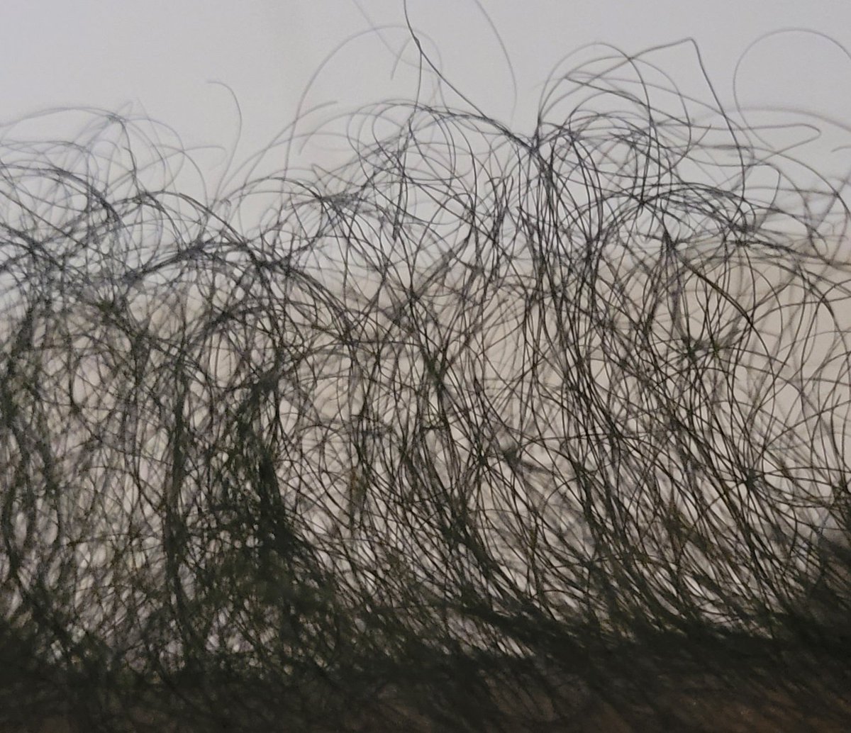 Sharika ⭐ tweet media