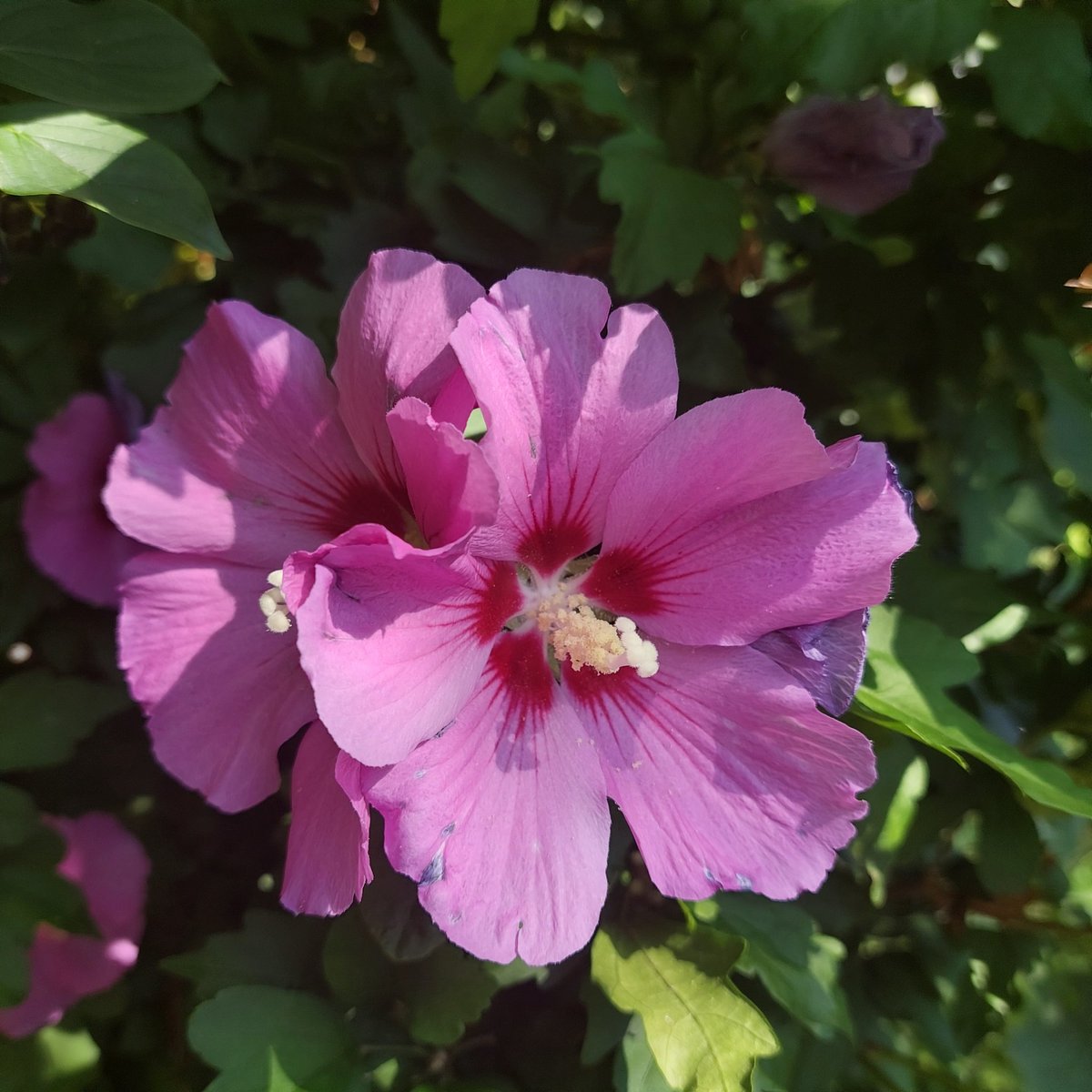 Schönheit und Freude doppelt ists noch schöner.
Gut zu einander sein.