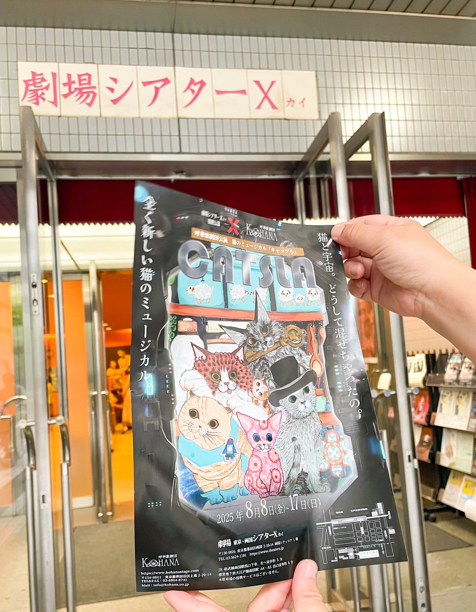 昨日、初観劇した猫のミュージカル『CATsLa（キャッツら）』が最高すぎて今日も2回見ました😭✨️
脚本や演出、キャストの皆さんも完成度がめちゃめちゃ高くてストーリーも胸熱で、
中盤から最後まで爆泣きして頭痛い…(´；ω；｀)