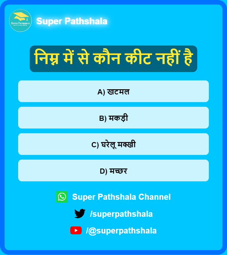 SuperPathshala's tweet photo. निम्न में से कौन कीट नहीं है
#MCQQuiz #QuizTime #QuizMaster #UPSCQuiz #AkhileshYadav #KBCAajSeRaat9Baje #War2BlockbusterLoading #HarGharTiranga PETA अखिलेश यादव Supreme Court Rabies Animal #DoTransferAsPromised #StalinFailsTamilNadu #हनुमान_बचाएगा_जोजरी #landpoolingpolicy https://t.co/85lI3nV8u5