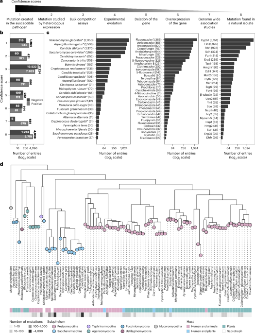 Out Now! FungAMR: a comprehensive database for investigating fungal mutations associated with antimicrobial resistance bit.ly/3UnwlCE #FungalResearch #AntimicrobialResistance #Mycology