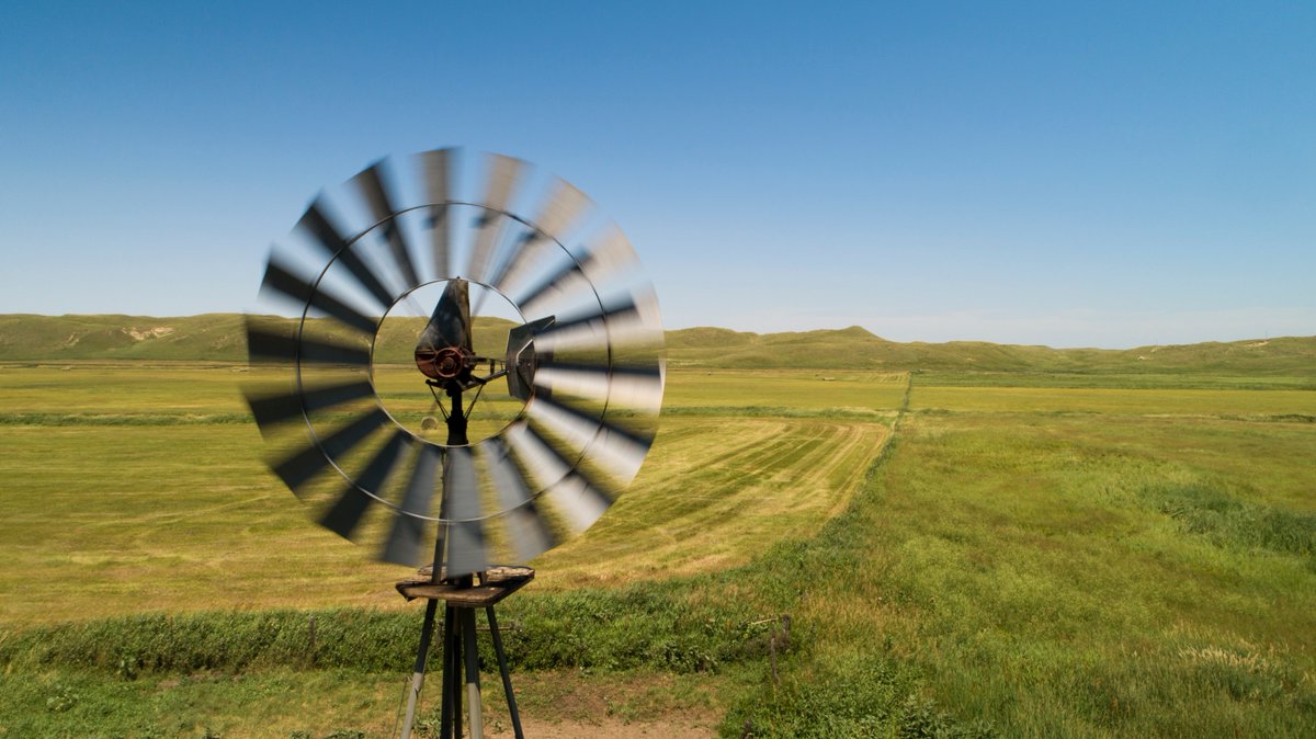 🗓️ The University of Nebraska-Lincoln Gudmundsen Sandhills Laboratory will host its annual open house Wednesday, Aug. 20, near Whitman, Neb. 

🐂 Register here: go.unl.edu/gslopenhouse